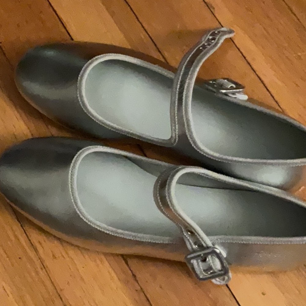 Everlane Silver Mary Jane Flats NWOT size 7